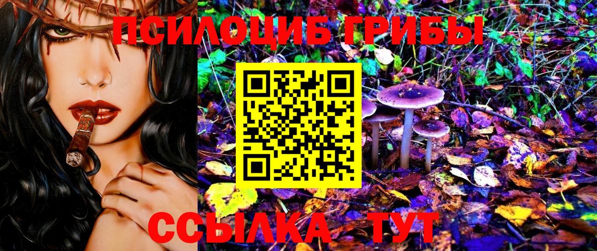 Псилоцибиновые грибы Psilocybine cubensis Луга